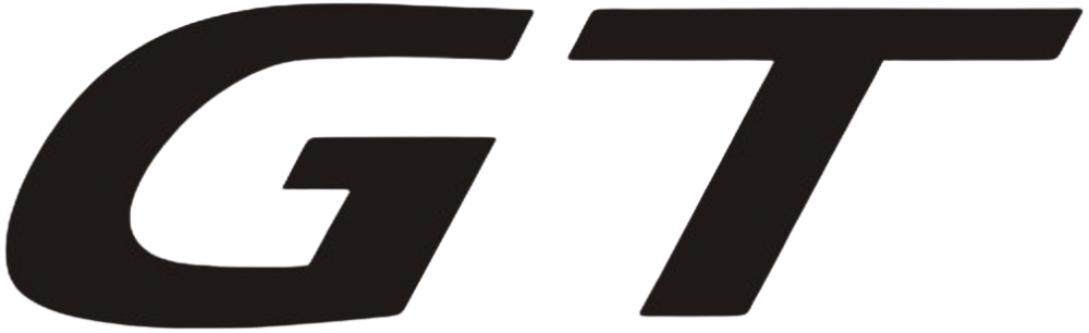 GT Medical Transportation